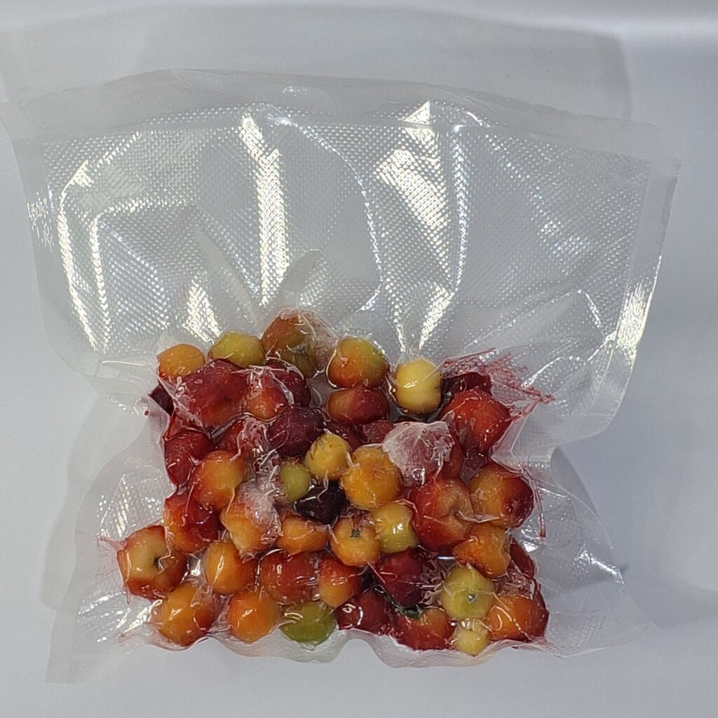 seladora-a-vacuo-minivac-cetro-saco-gofrado-alimentos-conservados